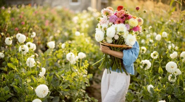 ������ �� ����������� ������ ��� ������