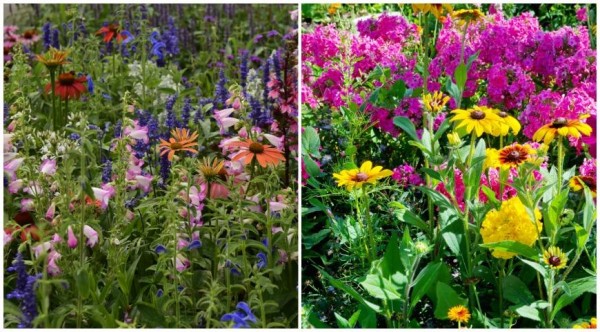 ������ �� ����������� ������ ��� ������