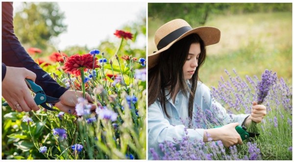 ������ �� ����������� ������ ��� ������